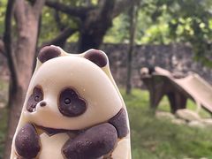 -都江堰中华大熊猫苑