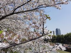 -运河游船(武林门码头)