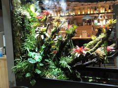 -森味薪火烧•烧鸟居酒屋•日本料理(望京店)