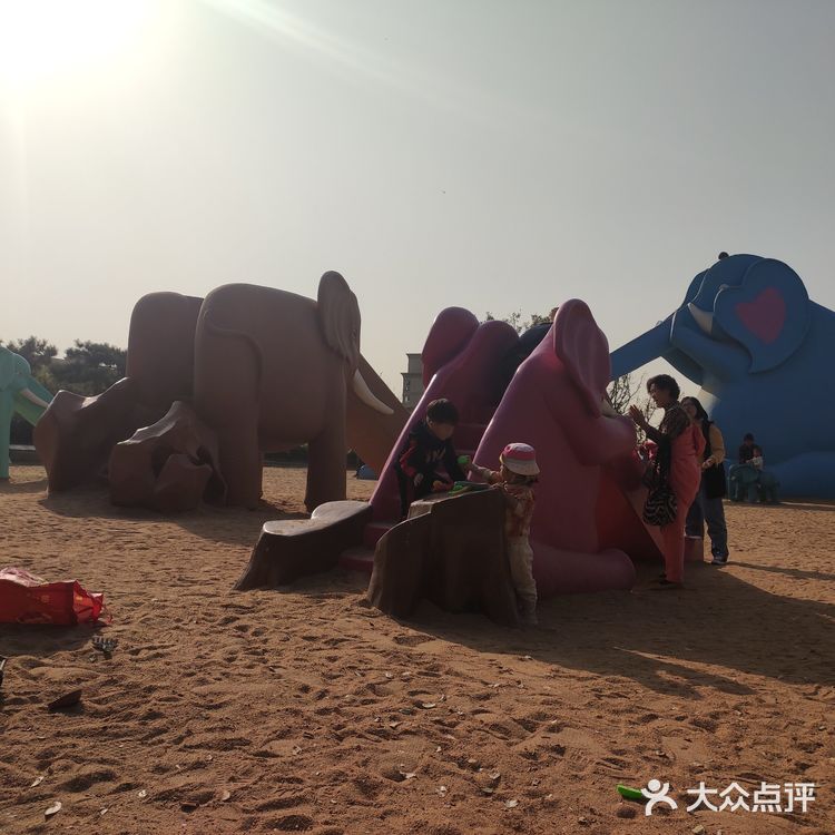 遛娃之象耳山公园-李村