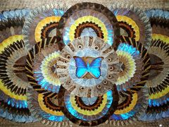 -上海昆虫博物馆