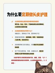 -Bollins波林丝•专研护发中心