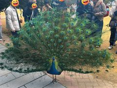 -杭州野生动物世界