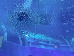 -刘家湾赶海园