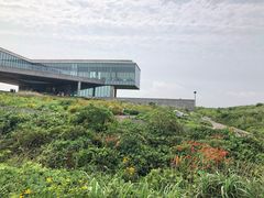 -涉地可支