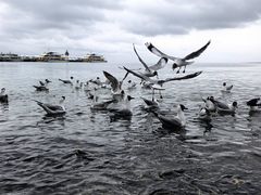 -青海湖二郎剑景区