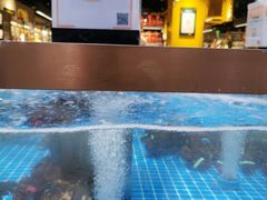 水产区-七鲜超市(通州ONE店)
