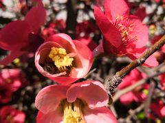 -段氏足疗养生馆(十年老店)