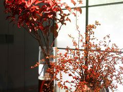 -T館·花园艺术餐厅