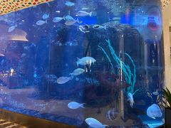 -长隆横琴湾酒店(珠海旗舰店)