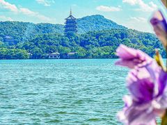 -柳莺湖上·湖景餐厅·江南菜(西湖店)