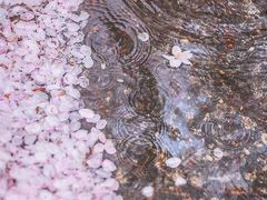 -聚德福海鲜家常菜(刘庄店)