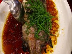 -金碧轩粤菜海鲜大酒楼