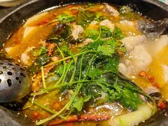 -重庆火锅水库鱼庄(南油店)