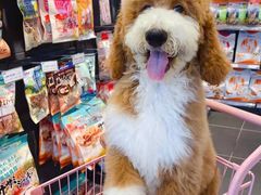 -萌兽医馆·眼科·异宠专科(三里屯店)