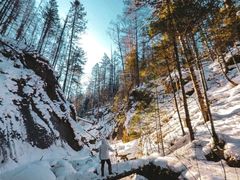 -峡谷浮石林景区