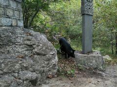 -岫岩药山风景区