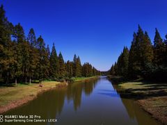 -黄海国家森林公园