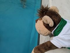 -金泽21世纪美术馆