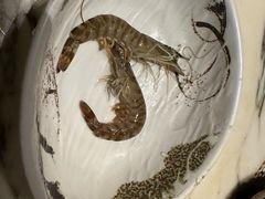 九节虾-雍和会海鲜姿造自助(湖东路店)