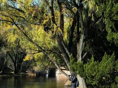 -上海共青森林公园