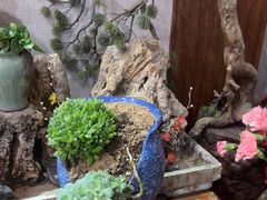 -山海经·海边人家 海鲜新青岛菜(扬州路店)