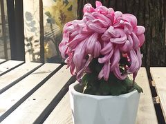 -共青国家森林公园-售票处