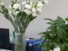 -舞蕾舞蹈(特长生校区)