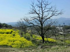 -塔川景区