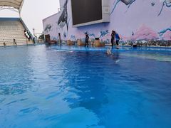 -北戴河圣蓝海洋公园