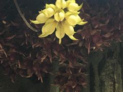 -华南国家植物园-售票处