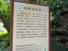 -十八棵（老龙井）御茶园(老龙井店)