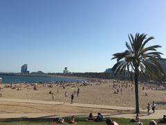 -小巴塞罗那海滩