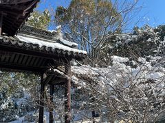 -八大山人梅湖景区