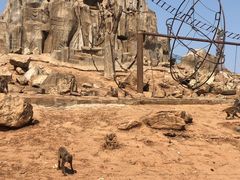 -石家庄市动物园