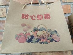 -甜心庄园·甜心草莓采摘园(西青中北店)