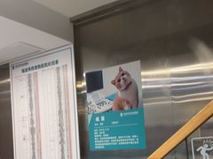 -伟伟宠物医院·CT影像中心·瑞派犬猫综合性门诊(汉口总院)