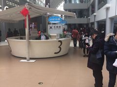 -上海市第一人民医院(松江南部)