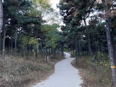 -北京西山国家森林公园