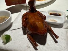 -侨美·唐荔园·40年地道粤菜