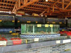 -顺德了能馆(虎门店)