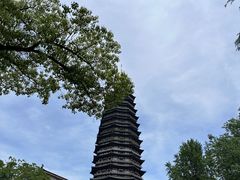 -红梅公园