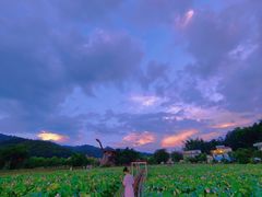-红山村