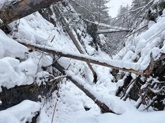 -峡谷浮石林景区