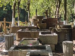 -广州白江湖森林公园