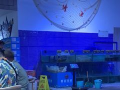 -蟹老板的海鲜