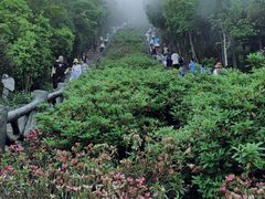 -梧桐山风景名胜区