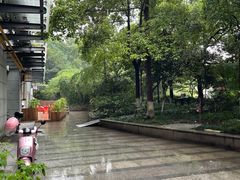 -素清香(解放路店)