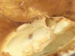 焦糖烤布蕾-PAUL LAFAYET 法式甜品(国金中心商场店)