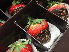Godiva(港汇广场店)-GODIVA(港汇恒隆广场)